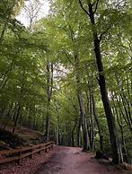 Redlowo - Sea View by Grand Apartments