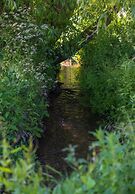 Woods Meadow Glamping