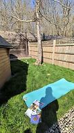 Woods Meadow Glamping