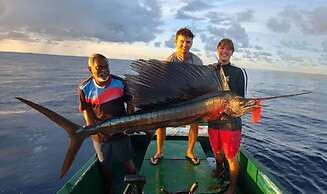 Three Hearts Guesthouse