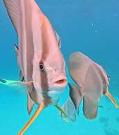 Three Hearts Guesthouse