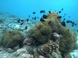 Three Hearts Guesthouse