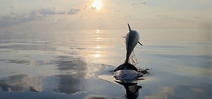 Three Hearts Guesthouse