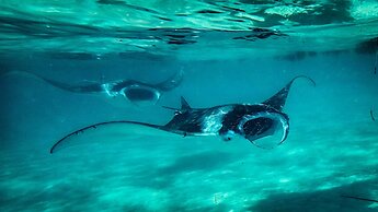 Three Hearts Guesthouse