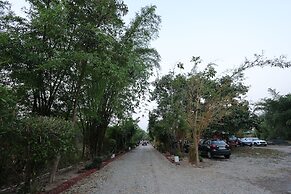 Bento The Roar Resort.