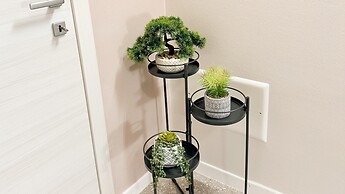 Graceful Apartments - Hell Apartment