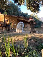 Alba 2-bed Cottage - Sleeps 4 - Montseny Park