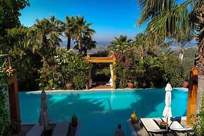 Casa Pino With Private Pool and Garden