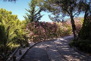 Casa Pino With Private Pool and Garden