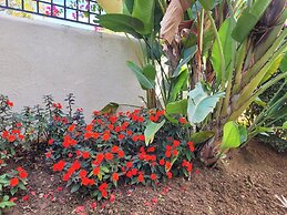 Peaceful, Spacious, 2 bed 2 Bath Elviria Condo