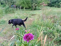 Charming Cottage in the Heart of the Ribera Sacra