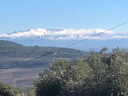 Your Private Paradise in the Adalucian Hills