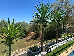 Your Private Paradise in the Adalucian Hills