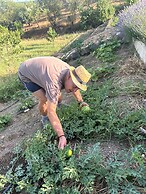 Your Private Paradise in the Adalucian Hills