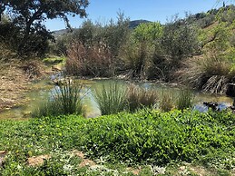 Your Private Paradise in the Adalucian Hills