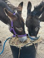 Your Private Paradise in the Adalucian Hills