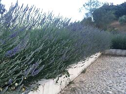 Your Private Paradise in the Adalucian Hills