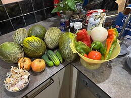 Your Private Paradise in the Adalucian Hills