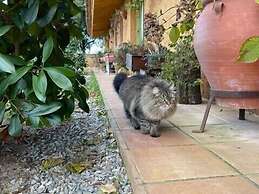 Aurora 2-bed Cottage - Sleeps 4 - Montseny Park