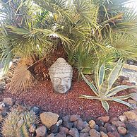 Finca Aurora - Cozy 1-bed Apartment