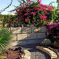 Finca Aurora - Cozy 1-bed Apartment