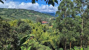 Immerse Yourself in Colombian Paradise at our Mountaintop Coffee Farm 