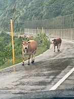 Hotel Coronel Somiedo