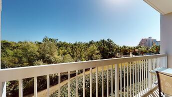 Tops'l Summit by Gibson BR