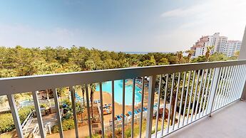 Tops'l Summit by Gibson BR