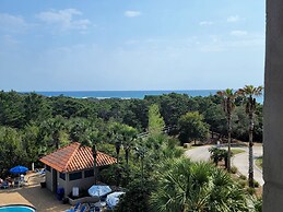 Tops'l Summit by Gibson BR