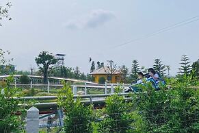 Buffalo Island Resort