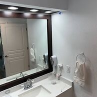 Free Shuttle 2 Queen Disney Area