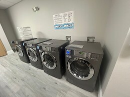 Free Shuttle 2 Queen Disney Area