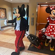 Free Shuttle 2 Queen Disney Area