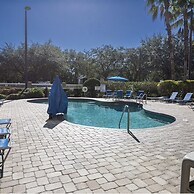 Free Shuttle 2 Queen Disney Area