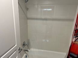 Free Shuttle 2 Queen Disney Area