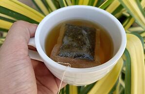 Claytown Pension House