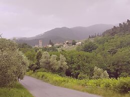 Casale Delle Camelie