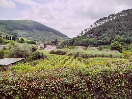 Casale Delle Camelie