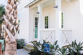 Bird Feather 160tai - C