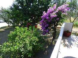 Apartments Lucija & Andora