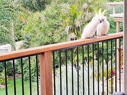 Treeview - A Beautiful 3-bed House in Kiama