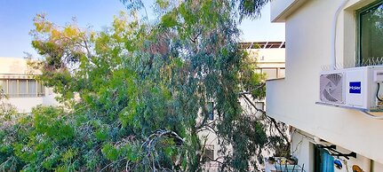 Ben Yehouda Obsidian