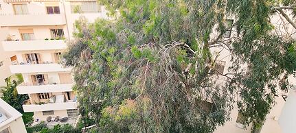 Ben Yehouda Obsidian