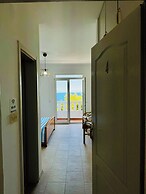 Budva Felix Suits
