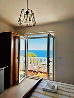 Budva Felix Suits