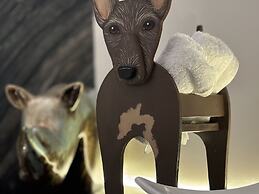 Hotel Casa Chanehque