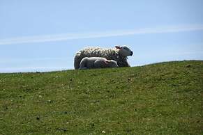 Holiday Home Gray Seal