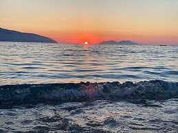 Oasis Beach Residence