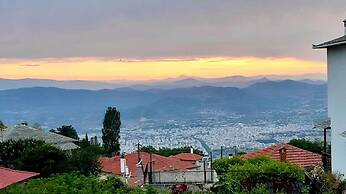 Giota s Garden House